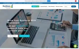 Blueweaveconsulting.com Screenshot 2024-05-08 20:04:33