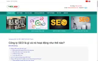 Seotukhoa.net Screenshot 2024-06-25 06:02:22