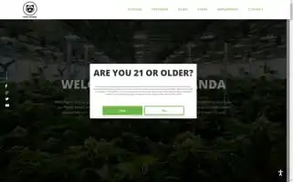 Phatpanda.com Screenshot 2024-07-04 01:54:54