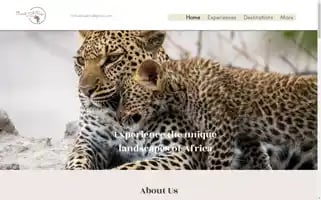 Clickatripafrica.com Screenshot 2024-04-22 23:30:48