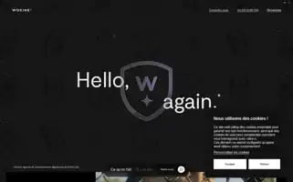 Wokine.com Screenshot 2024-07-08 08:42:55