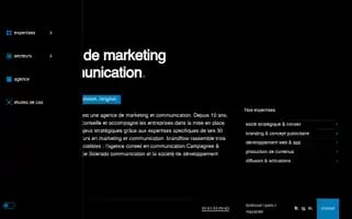 Brandflow.fr Screenshot 2024-07-02 20:31:28