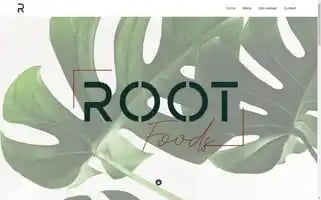 Rootfoods.nl Screenshot 2024-05-22 08:32:00