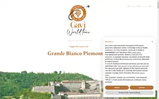 Gaviworldtour.com Screenshot 2024-04-24 09:09:10