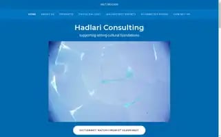 Hadlariconsulting.com Screenshot 2024-05-16 00:43:28