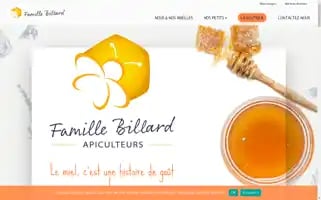 Miel-billard.fr Screenshot 2024-07-04 03:48:14