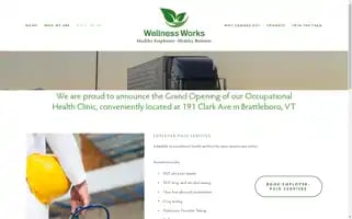 Wellness-works.net Screenshot 2024-05-15 01:20:58