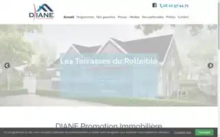 Diane-promotion.com Screenshot 2024-06-17 02:03:42