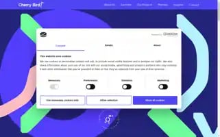 Cherrybirdagency.ie Screenshot 2024-07-03 19:24:33