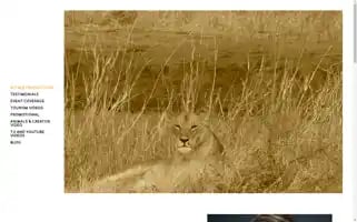 Mtmbproductions.com Screenshot 2024-05-13 00:54:21