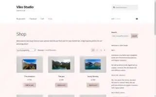 Vikostudio.net Screenshot 2024-05-18 21:15:53