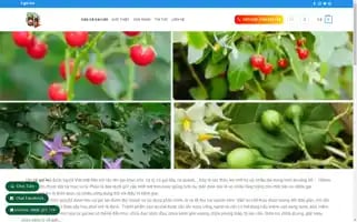 Caocaycagaileo.com Screenshot 2024-05-25 23:29:26
