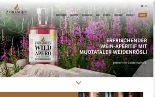 Zgraggen.ch Screenshot 2024-07-03 08:21:28