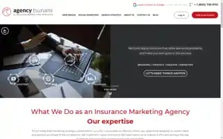 Agencytsunami.com Screenshot 2024-06-13 11:17:19
