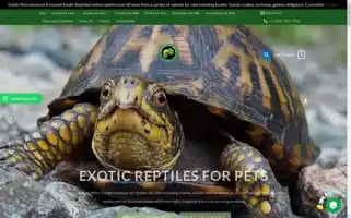 Thereptileworlds.com Screenshot 2024-05-26 02:39:15