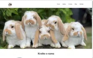 Patuljastikunici.com Screenshot 2024-05-22 07:42:05