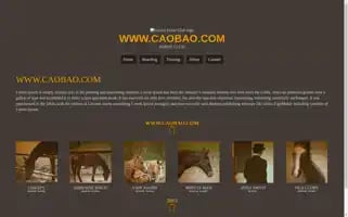 Yueri.top Screenshot 2024-06-14 06:01:32