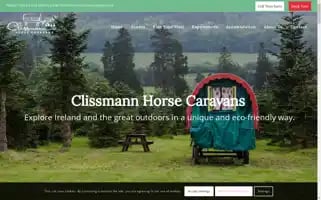Clissmannhorsecaravans.com Screenshot 2024-06-12 06:44:10