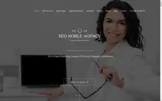 Seocompanylosangeles.us Screenshot 2024-06-28 23:32:59