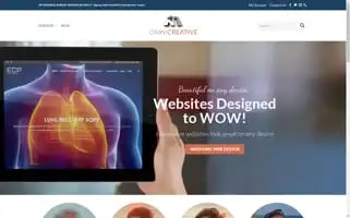 Omnicreative.com Screenshot 2024-07-02 20:17:56