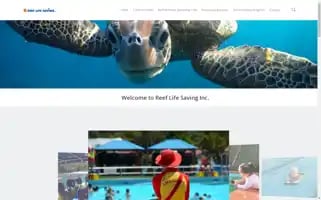 Reeflifesaving.org Screenshot 2024-05-19 12:15:08