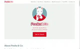 Pooka.co Screenshot 2024-06-30 05:16:14