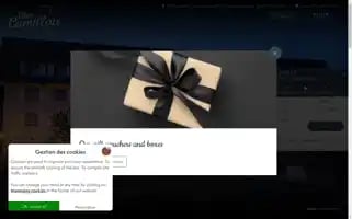 Hotel-camillou.com Screenshot 2024-07-01 02:31:05