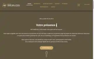 Metawebsolution.com Screenshot 2024-05-23 13:17:10