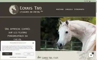 Equustao.com Screenshot 2024-06-27 05:03:21