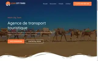 Adamcitytours.com Screenshot 2024-04-26 00:48:51