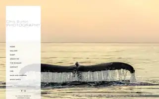 Chrisburtonphotography.com Screenshot 2024-05-18 21:44:08