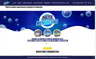 Pulitocarwash.co Screenshot 2024-05-20 17:13:14