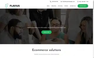 Flaviustechnologies.com Screenshot 2024-06-14 19:00:49