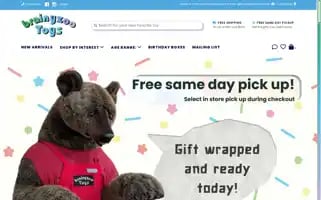 Brainyzootoys.com Screenshot 2024-05-08 21:09:37