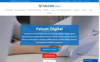 Falcondigital.co.uk Screenshot 2024-06-28 16:42:26