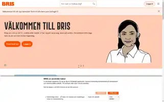 Bris.se Screenshot 2024-07-02 20:35:21