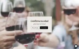 Vinosamerica.com Screenshot 2024-06-18 09:38:07