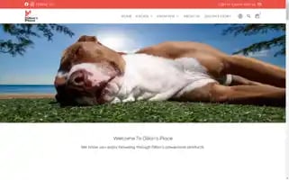 Dillonsplace.com Screenshot 2024-05-04 11:14:26