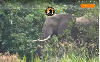 Virunga.org Screenshot 2024-06-14 17:06:01