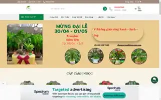 Chaucayxuatkhau.com Screenshot 2024-05-28 16:22:59