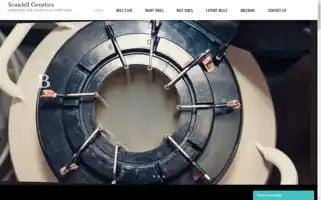 Scawfellgenetics.com Screenshot 2024-07-02 19:59:44