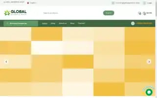 Globalgenerics.shop Screenshot 2024-05-28 11:23:45