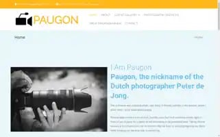 Paugon.com Screenshot 2024-06-13 03:27:09