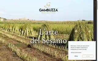 Sesamodispica.it Screenshot 2024-06-12 12:58:56