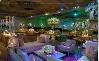 Davidkuriodesigns.com Screenshot 2024-06-11 10:16:23