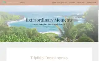 Tripfullytravels.com Screenshot 2024-04-26 22:53:48