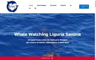 Bmcseatours.com Screenshot 2024-04-26 01:13:38