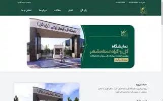 Rayagol.com Screenshot 2024-05-19 08:23:49