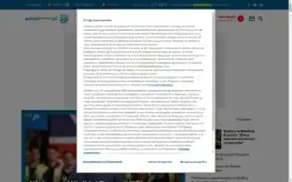 Polsatnews.pl Screenshot 2024-07-05 05:46:07