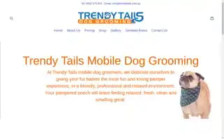 Trendytails.com.au Screenshot 2024-04-27 05:32:45